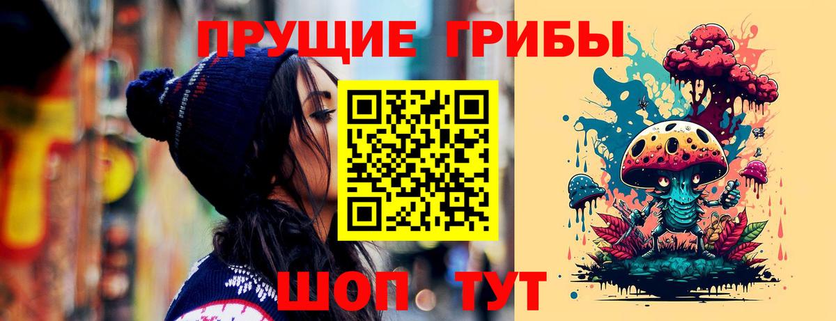 Урус-Мартан  Псилоцибиновые грибы прущие грибы  Вход с VPN 